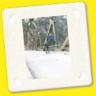D13 Gangotri2 (22).jpg